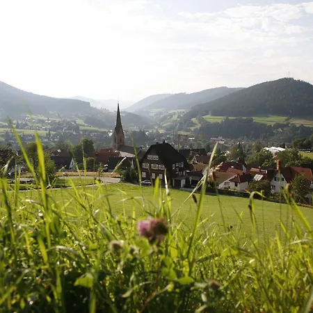 Panoramahotel Berghof ホテル 3*
