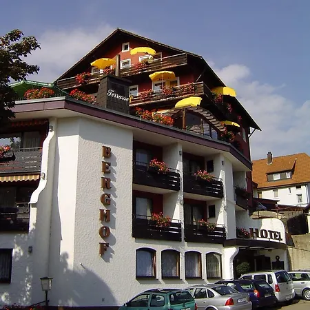 Hotel Panoramahotel Berghof
