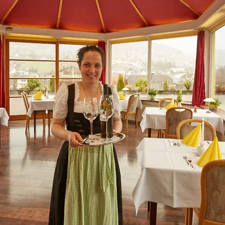 Hotel Panoramahotel Berghof 3*