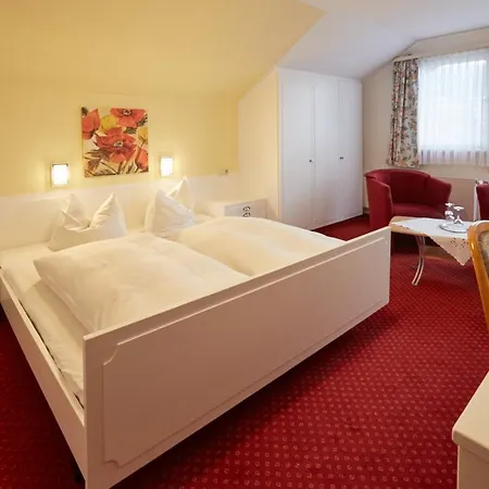Panoramahotel Berghof 3* バイアースブロン