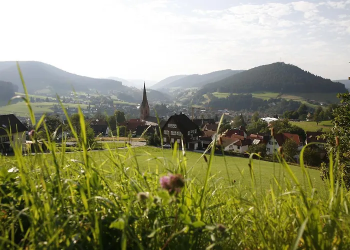 Panoramahotel Berghof 酒店 3*